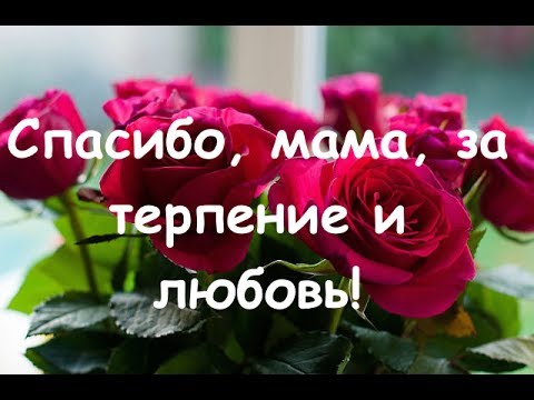 Открытка спасибо маме за мое рождение Открытка спасибо маме за мое рождение