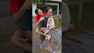 Cool Hero Brother How To Survive Flood Jjaipan