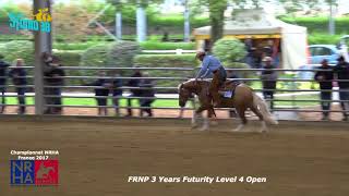 quarter horse, futurity ,reining,gb quarter horse,