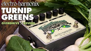 EHX TURNIP GREENS