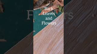 Tutorial on using bark, leaves and flowers to make art !