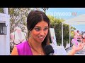 hollywoodtv