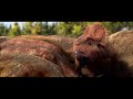 Walking With Dinosaurs 2013 Movie Hd