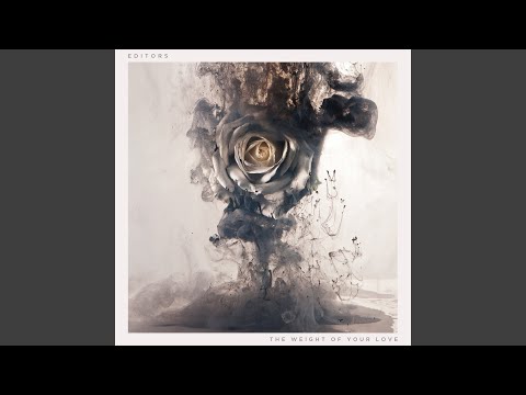 Editors - Bird Of Prey