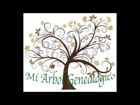 COMO REALIZAR UN ARBOL GENEALOGICO como realizar un arbol genealogico:
