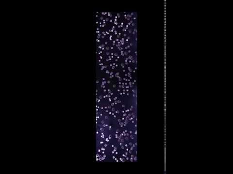 Digital Water Video