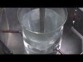 pectin