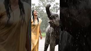 Part 503 Rainy Village Girl Bath With Elephant Brinjal
