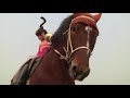 Raw: Dancing Horses of the Tang Empire