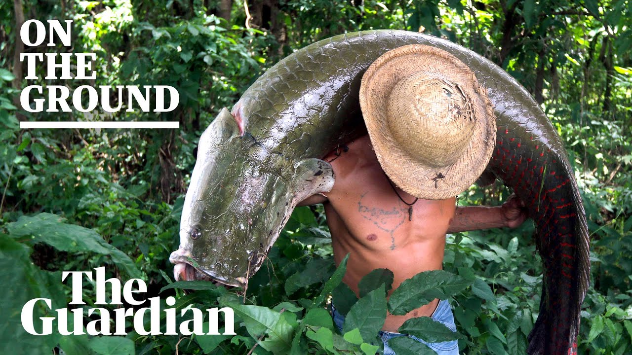 Into the Amazon's wild west: 'Who is not afraid of death?'