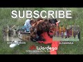 Mutant Giant Spider Dog (SA Wardega)