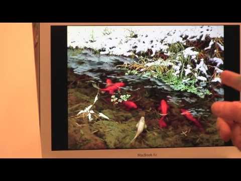 Мастер-класс игоря сахарова масло Мастер-класс игоря сахарова масло