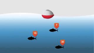 iBobber Castable Fish Finder