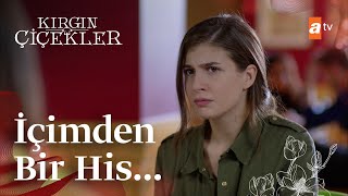 Kaderin Içindeki Şüphe? - Kırgın Çiçekler 96. Bölüm