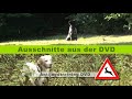P Wie Platz Video preview