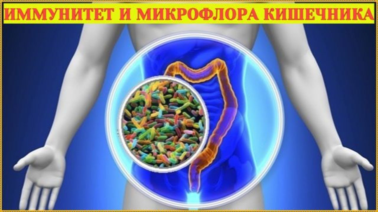 Диета Для Микрофлоры Кишечника