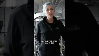 Learn About Our Fully Automated Potato Line Pt 1