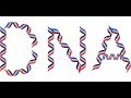 IBRIDI UOMO-ANIMALE IN INGHILTERRA