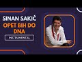 Sinan Sakić - Opet bih do dna (Instrumental - Karaoke)