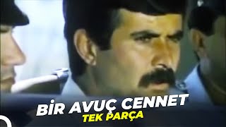 Bir Avuç Cennet | Tarık Akan Eski Türk Filmi  İzle