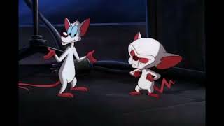 The Pinky & The Brain And Im The One Called Larry