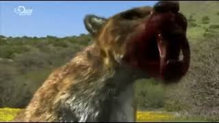 Monsters Resurrected 2009 - Smilodon Screen Time