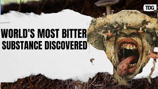 Scientists Discover The Worlds Most Bitter Substance Ever Known To Humanity The Daily Guardian