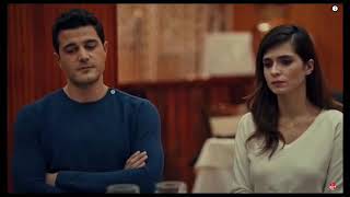 Aşık Yeşil Çam
