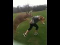 Deer Tries to Mate with Girl (Funny as Hell)