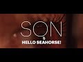 Hello Seahorse! SON (Video Oficial) Hello Seahorse! SON (Video Oficial)