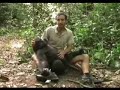 video de musica El Proyecto Gran Simio con los gorilas