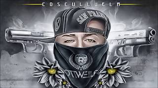 Video La 9 Y La 40 Cosculluela