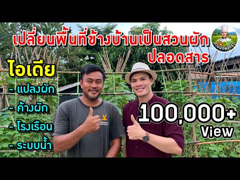 เปลี่ยนพื้นที่ข้างบ้านเป็นสวนผักปลอดสาร ไอเดียแปลงผัก ค้างผัก และโรงเรือน | สวนผักพ่อครัว