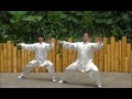 CHEN SHI  Taiji Quan ... LAO JIA YI LU ......a Duet Performance by Master CHEN KuoHua & Son !.