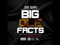 Big Ole Facts Video preview