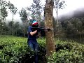 image Main Airsoft Gun Di Kebun Teh