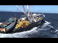 The story behind John West's tuna