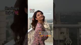 Anveshi Jain Hot Hm Ni Meri Sonreyn Gram Mshooq Mutyaray, Yup