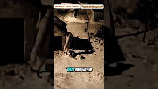 The Ancient Rivalry Of Kangals An Unending Hatred For Wolves