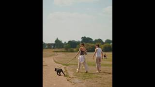 Zendaya And Tom Holland And Their Dog Noon New Viral Video