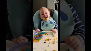 Kashton. Age 1 To 2.