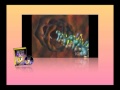 336 - Risk Without Responsibility / Healthy from the Inside Out - Rudy and Jeanie Davis