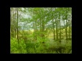 Witness - Hope Springs Eternal - Nature  Slideshow