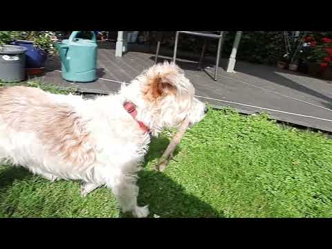 betty runs in slow motion and then stares for a bit