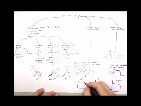 cardiac drugs part 3 inotropic drugs youtube inotropic drugs