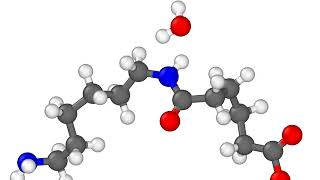 Nylon polycondensation using REACTER