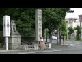 パワスポへ行こう（秩父神社編）