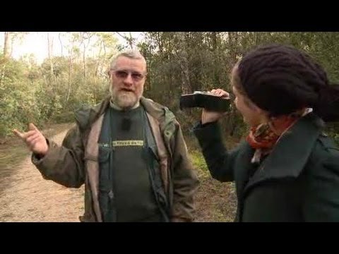 comment devenir garde forestier en france
