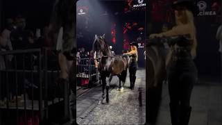 Los Tigres Del Norte - Pacas De A Kilo