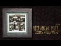 Swamp-Stamp-Polka Video preview